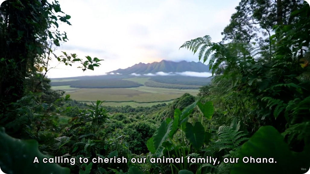 Scenic view of nature and mountain